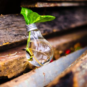 bulb-growth-idea-315658